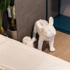 半包装修一室小户型，定金100抵1000瓷砖抵扣券